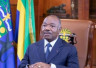 GABON-CANADA: Précurseur en matière de préservation de la biodiversité, le Gabon salue un accord « historique »